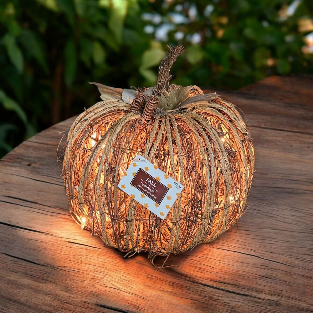 Lighted Pumpkin Decor
